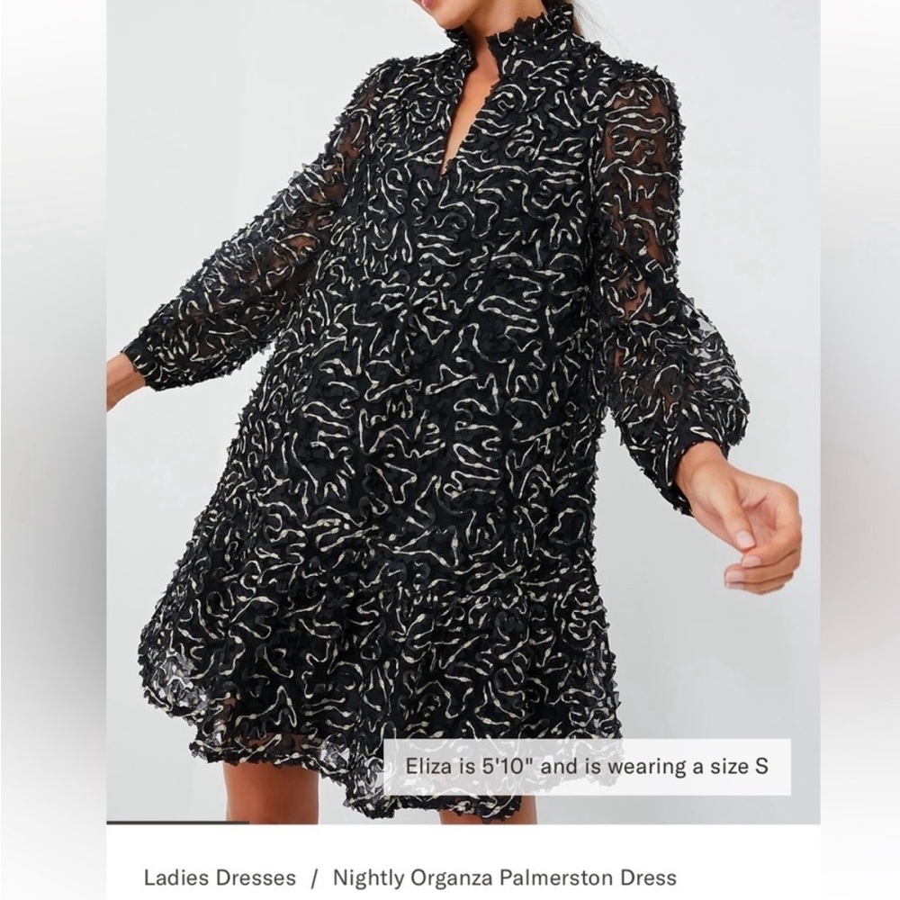 NEW Tuckernuck Nightly Organza
Palmerston Dress size S flirty